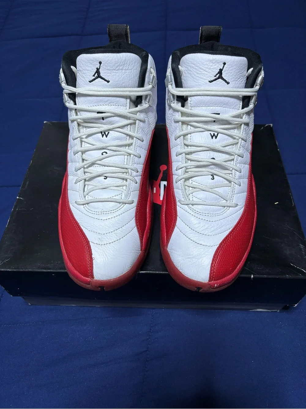 Jordan 12 Retro Cherry 2023 Size 10.5